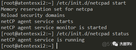 esxi 脚本修改密码_静态路由_31