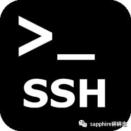 使用 SSH 远程连接android手机_git配置ssh私钥