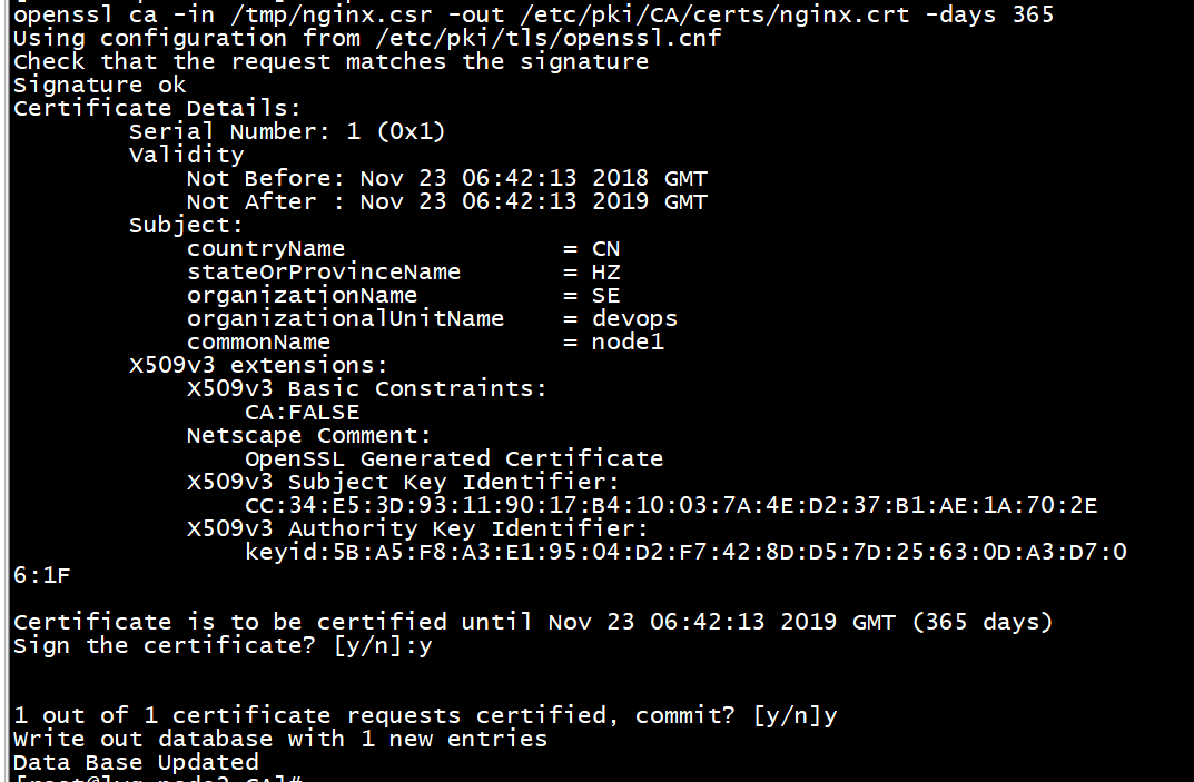 nginx 开启ssl模块_nginx 开启ssl模块_06