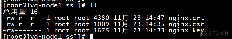 nginx 开启ssl模块_nginx_07