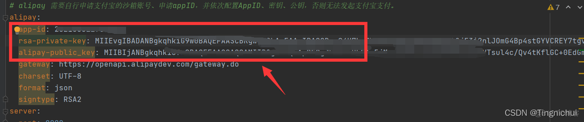 支付宝沙箱 商户私钥是应用私钥吗_java_09