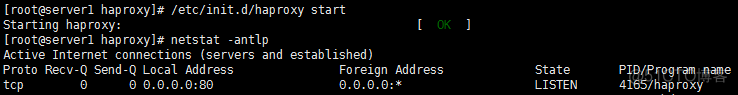 haproxy 状态查看_重启_13