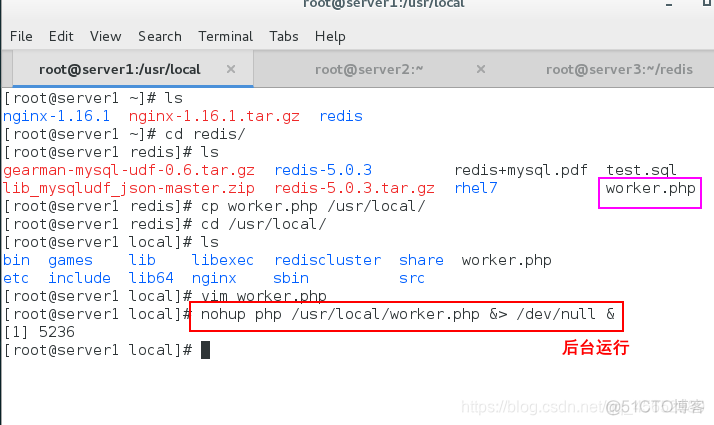 redis mysql 定时更新_redis_40