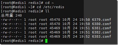 redistemplate redis 校验key是否存在_配置文件