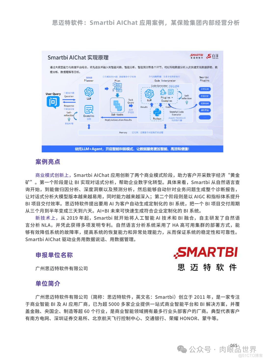 2024人工智能&大数据创新应用案例集（附下载）_大数据_65