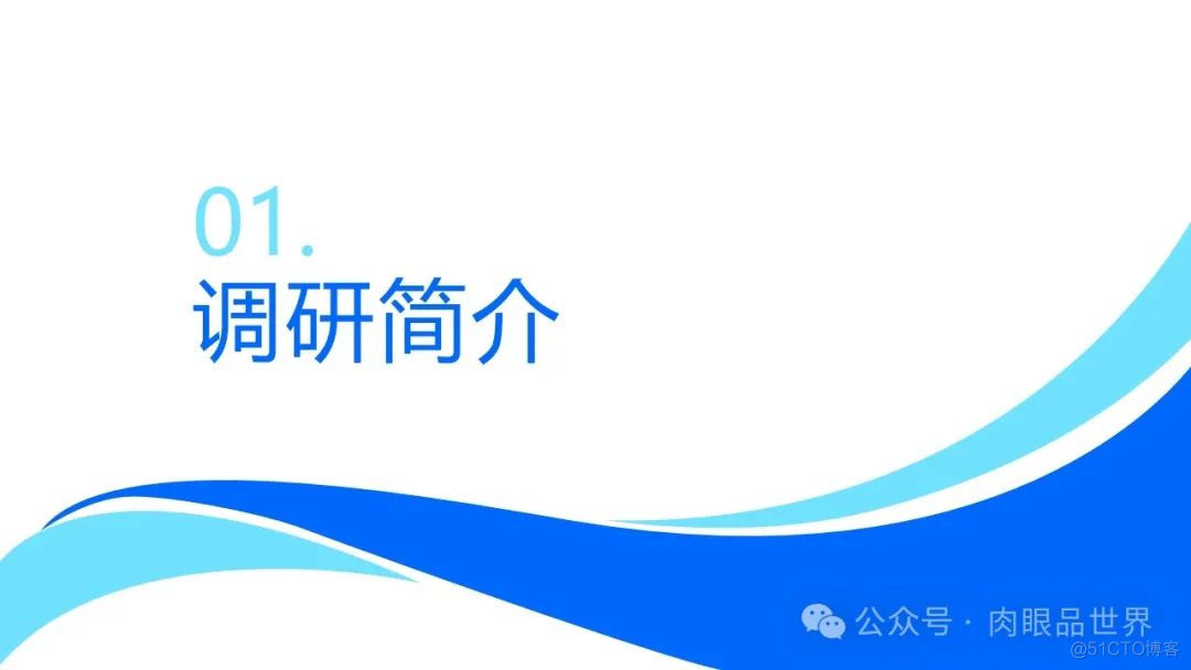 2024中国企业AI大模型落地应用现状调研报告-32页（附下载）_解决方案_03