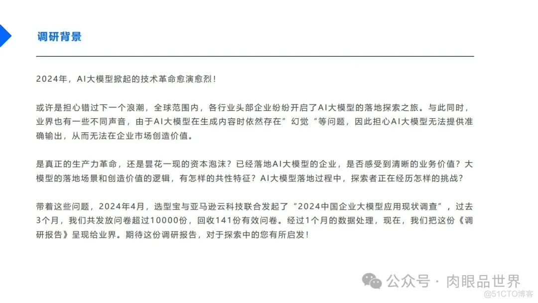 2024中国企业AI大模型落地应用现状调研报告-32页（附下载）_大数据_04