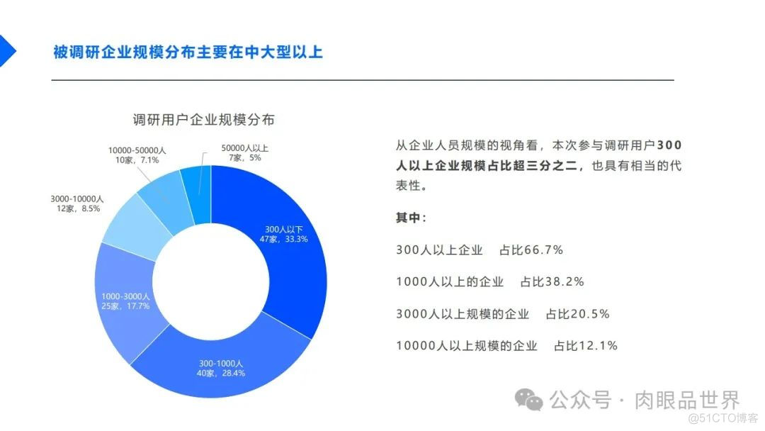 2024中国企业AI大模型落地应用现状调研报告-32页（附下载）_解决方案_08