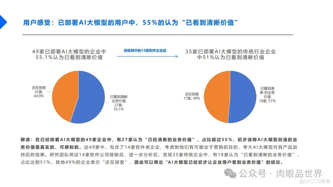 2024中国企业AI大模型落地应用现状调研报告-32页（附下载）_大数据_13