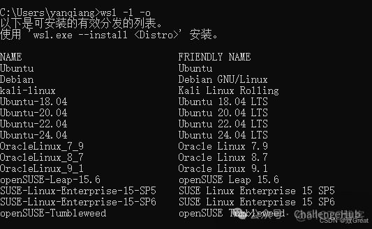 【保姆级教程】如何在Win11上搭建一个GPU环境_docker_10