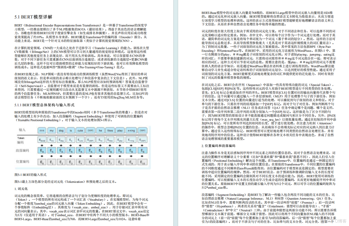 AI大模型从理论到实践的实用手册：《实战AI大模型》，看到就是赚到！！！_实战_06