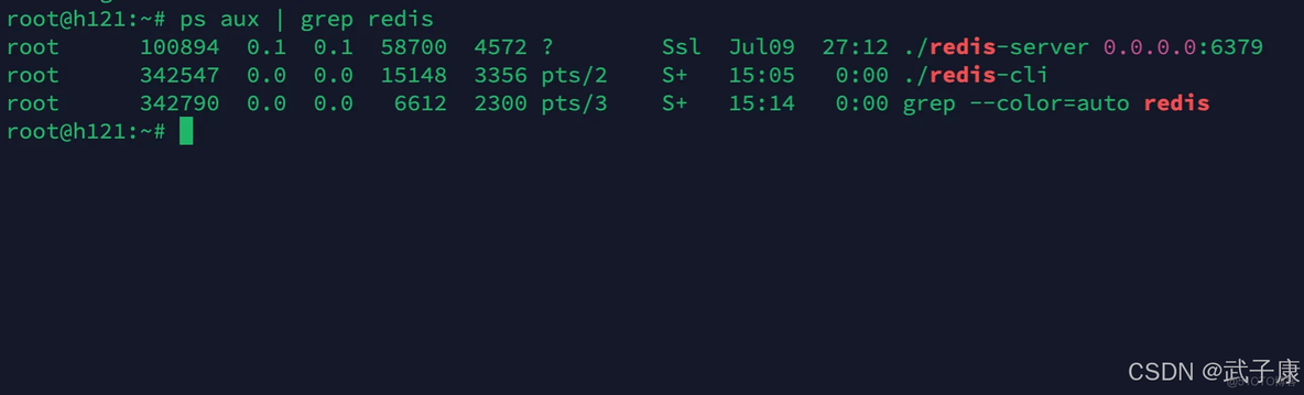 大数据-116 - Flink DataStream Sink 原理、概念、常见Sink类型 配置与使用 附带案例1：消费Kafka写到Redis_大数据_03