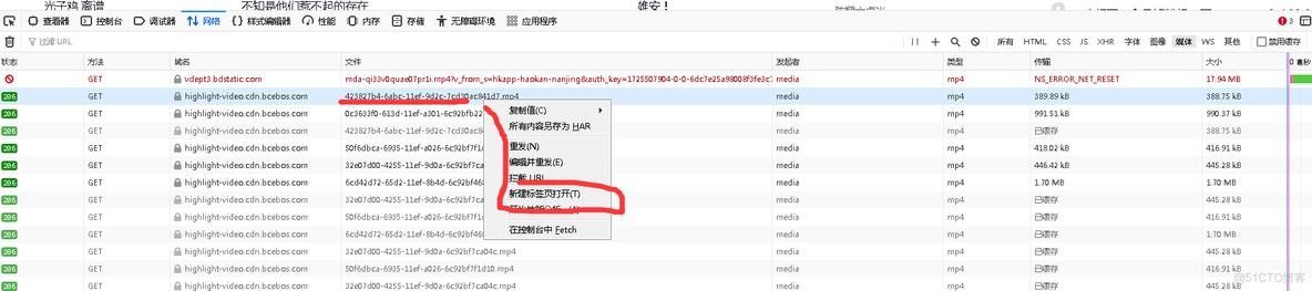 保存网页视频_新建标签_02