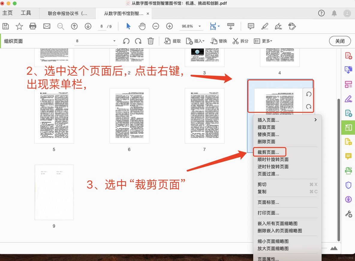 学习笔记487—PDF页面拼接后大小不统一【已解决！】_Adobe_03