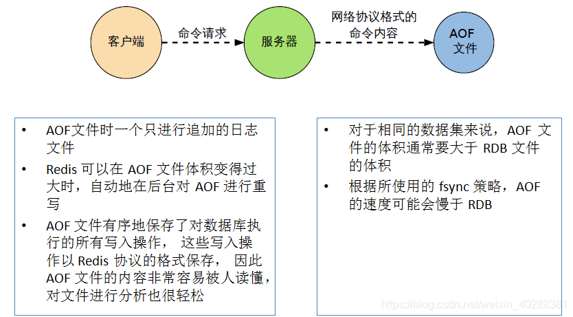 redis fork进程作用_redis fork进程作用_02