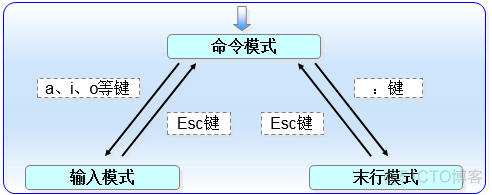 vim运行echo_shell