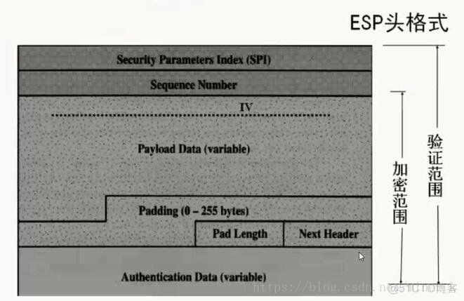 ikev2 加密算法 RSA AES SHA_封装_06