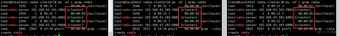 mysql主从集群从库禁止修改_Redis_09