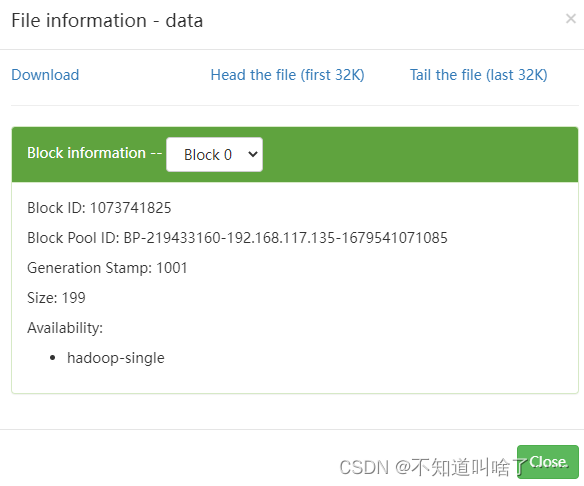 hdfs主节点Blocks比其他节点多_HDFS_14