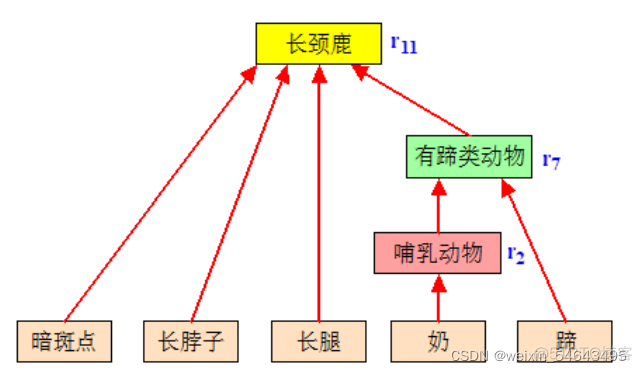 Java动物分类怎么做_数据库_02