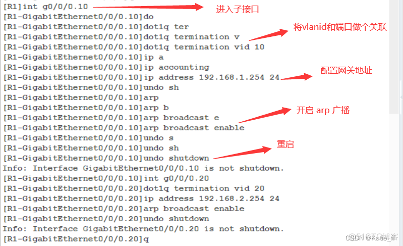 单臂路由及三层交换机实现VLAN间通信心得体会_网络_08