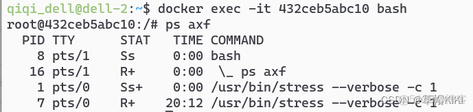 docker exc run区别_ubuntu_22