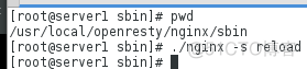 openwrt passwall 负载均衡无效_nginx_15