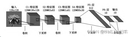 torch CNN 花分类_课程设计_02