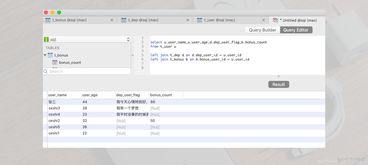 java QueryWrapperX联表查询_结果集_04