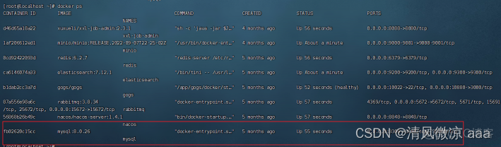 IDEA的本地项目如何连接虚拟机的mysql容器_maven_17