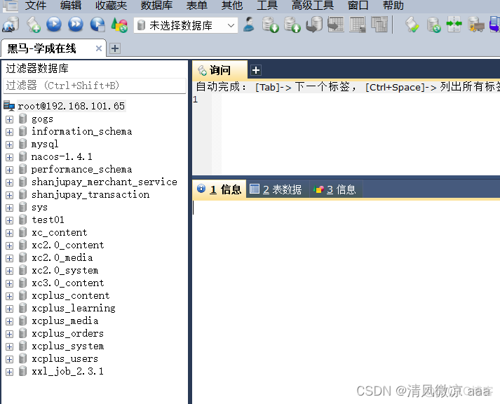 IDEA的本地项目如何连接虚拟机的mysql容器_git_19