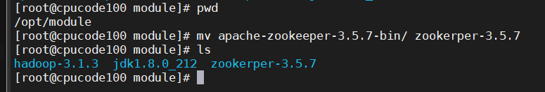 zookeeper心跳探活_cloud native_16