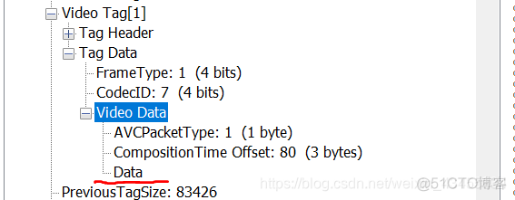 flv视频流存储成文件 java_h.264_08