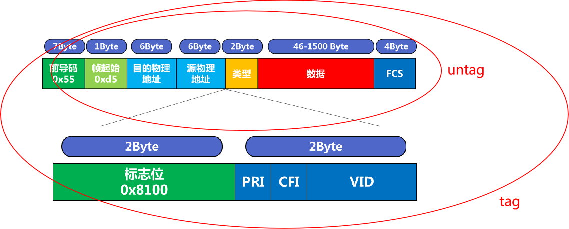 二层hybird端口实现不同vlan之间通信_学习_10