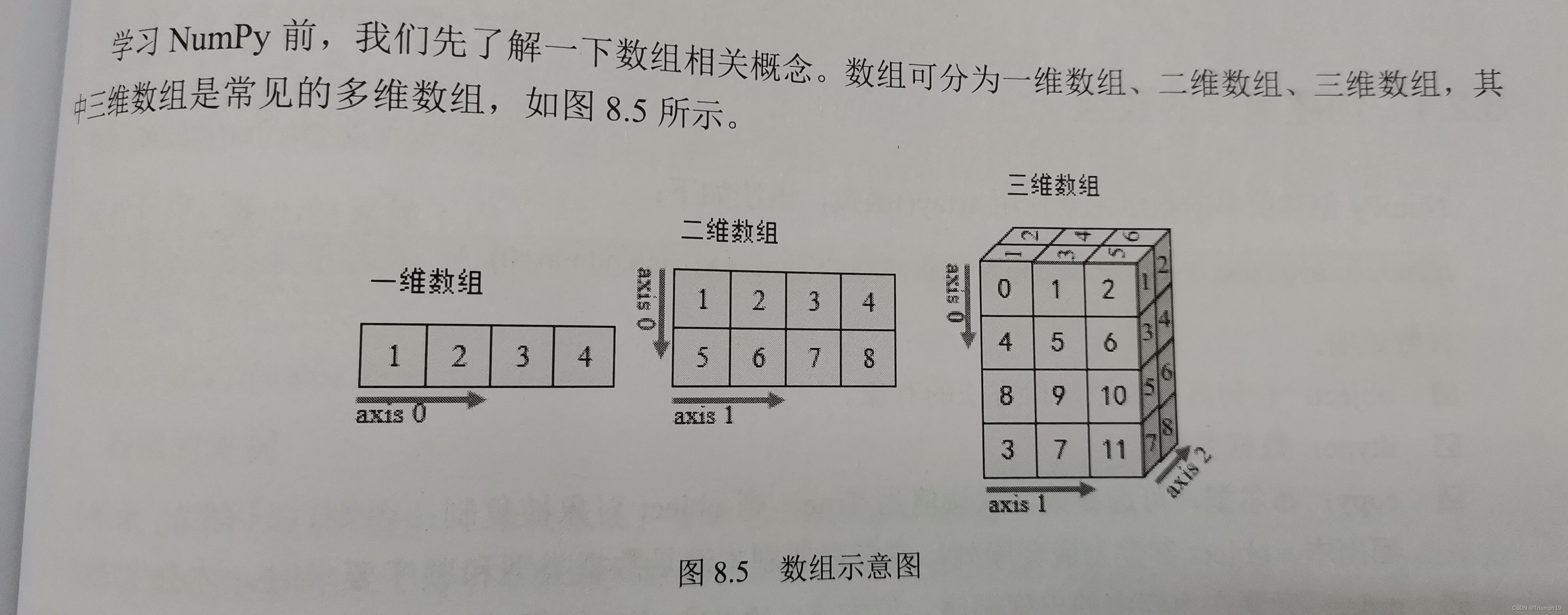 python遍历二维数组 索引_numpy