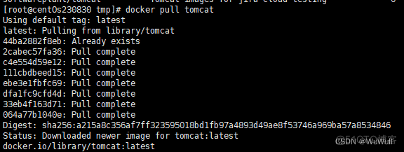 Docker_1_tomcat_09