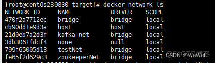 Docker_1_tomcat_21