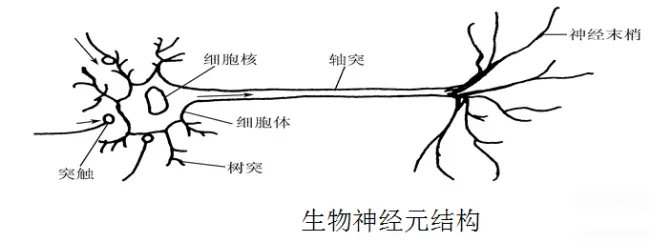 多层感知机与单层感知机对比_深度学习