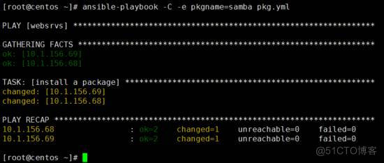 Linux轻量级自动运维化工具Ansible_测试运行_117