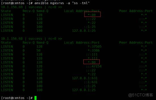 Linux轻量级自动运维化工具Ansible_nginx_143