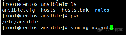 Linux轻量级自动运维化工具Ansible_测试运行_189