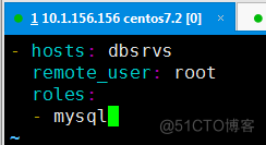 Linux轻量级自动运维化工具Ansible_测试运行_235