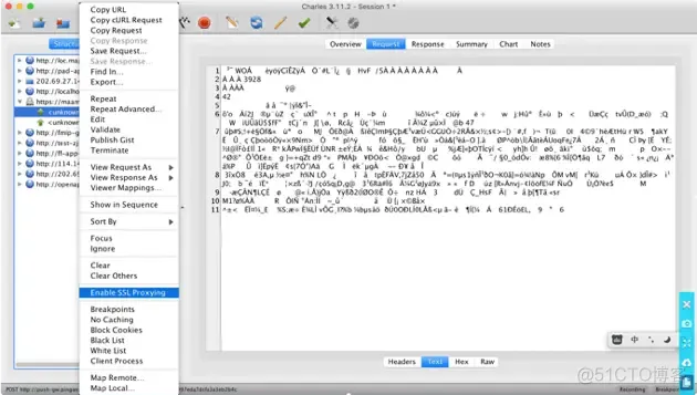 proxifier 和charles抓包_SSL_14