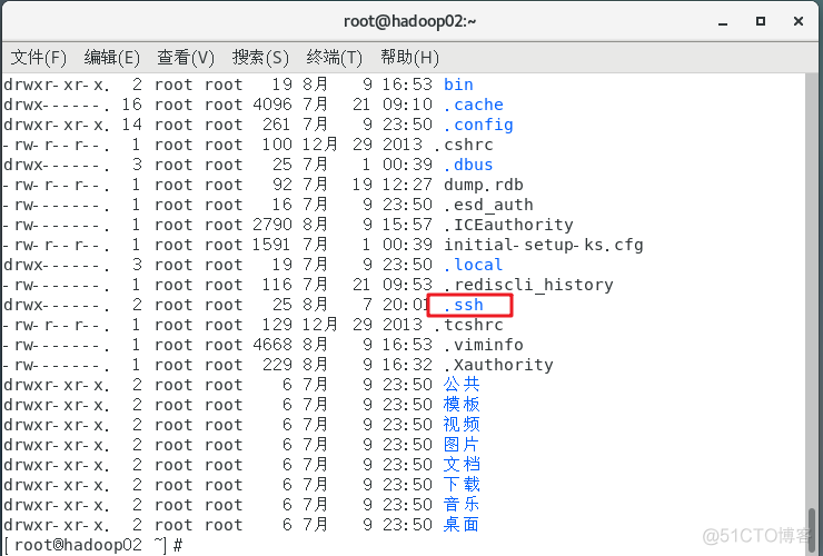 Hadoop 完全分布式安装配置_1024程序员节_10