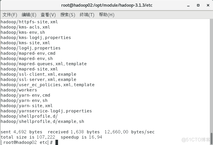 Hadoop 完全分布式安装配置_1024程序员节_17