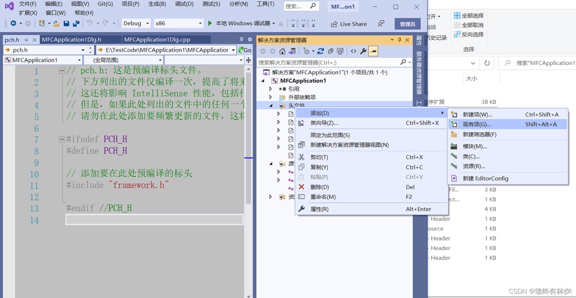 vs2022调用IronPython处理文件_删除文件_07