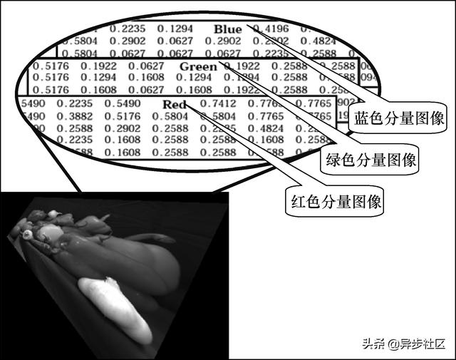 mamba图像分类_matlab改变图像尺寸_02