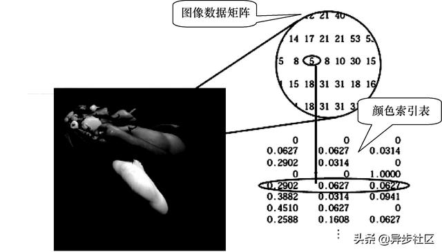 mamba图像分类_matlab人脸识别_03