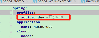 java获取nacos的json配置_java获取nacos的json配置_08