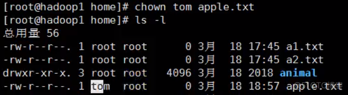 centos 进不了系统 进度条满了_用户名_07